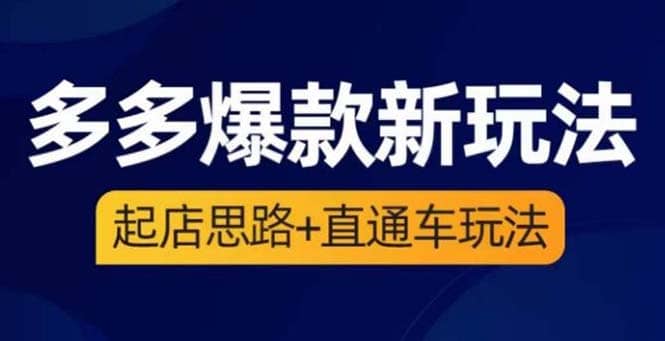 2023拼多多爆款·新玩法：起店思路+直通车玩法（3节精华课）-枫叶微课堂