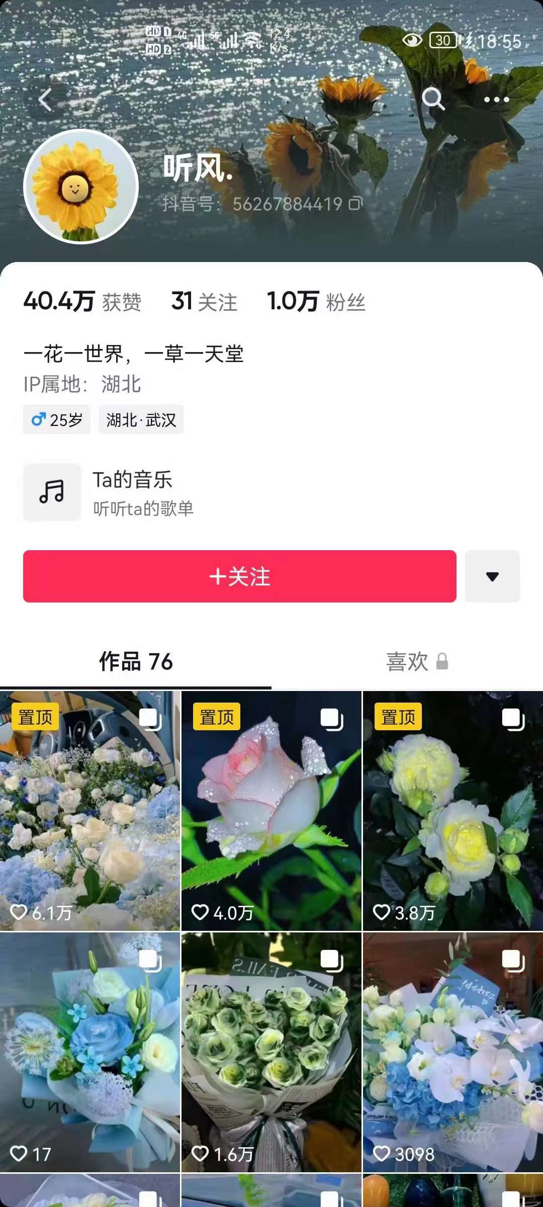 图片[2]-抖音壁纸变现项目：实战日入380+发布壁纸素材获取收益！-枫叶微课堂