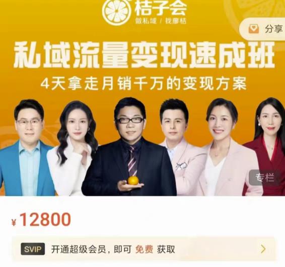 桔子会·私域流量变现速成班，4天拿走月销千万的变现方案 价值12800元-枫叶微课堂