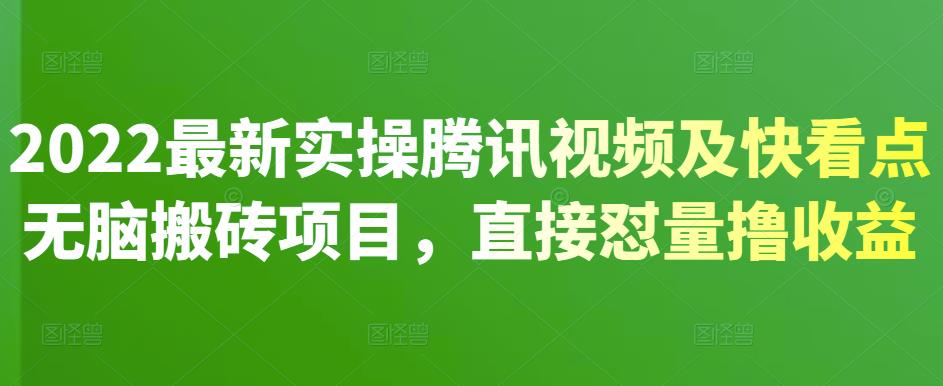 2022最新实操腾讯视频及快看点无脑搬砖项目，直接怼量撸收益-枫叶微课堂