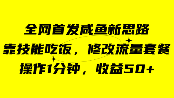 咸鱼冷门新玩法，靠“技能吃饭”，修改流量套餐，操作1分钟，收益50+-枫叶微课堂