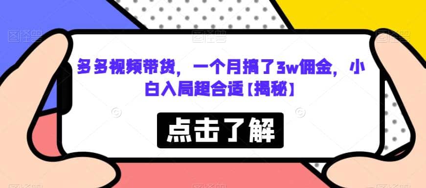 多多视频带货，一个月搞了3w佣金，小白入局超合适【揭秘】-枫叶微课堂