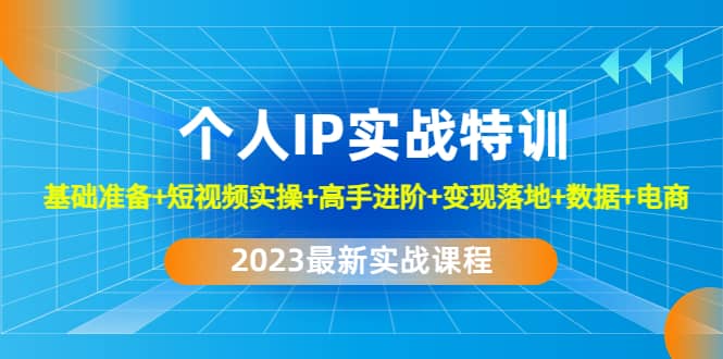 2023个人IP实战特训：基础准备+短视频实操+高手进阶+变现落地+数据+电商-枫叶微课堂