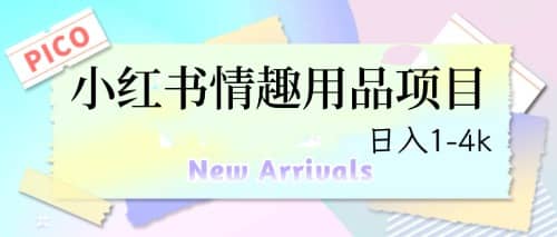 最新小红书情趣用品项目，日入1-4k-枫叶微课堂