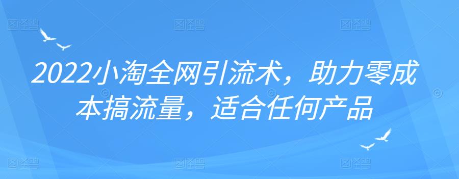 2022年小淘全网引流术，助力零成本搞流量，适合任何产品-枫叶微课堂