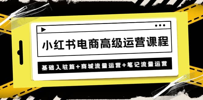 小红书电商高级运营课程：基础入驻篇+商城流量运营+笔记流量运营-枫叶微课堂