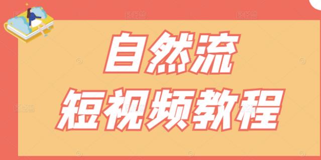 【瑶瑶短视频】自然流短视频教程，让你更快理解做自然流视频的精髓-枫叶微课堂