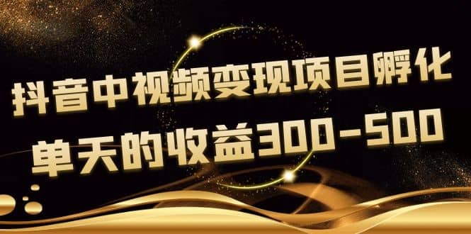 黄岛主《抖音中视频变现项目孵化》单天的收益300-500 操作简单粗暴-枫叶微课堂
