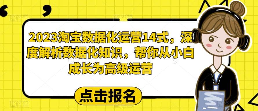 2023淘宝数据化-运营 14式，深度解析数据化知识，帮你从小白成长为高级运营-枫叶微课堂