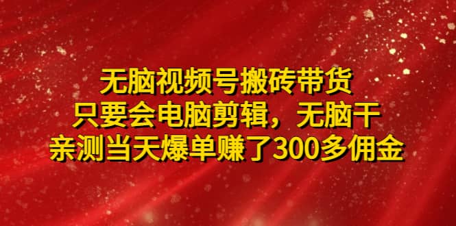 无脑视频号搬砖带货，只要会电脑剪辑，无脑干-枫叶微课堂