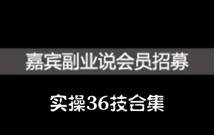 嘉宾副业说实操36技合集，价值1380元-枫叶微课堂