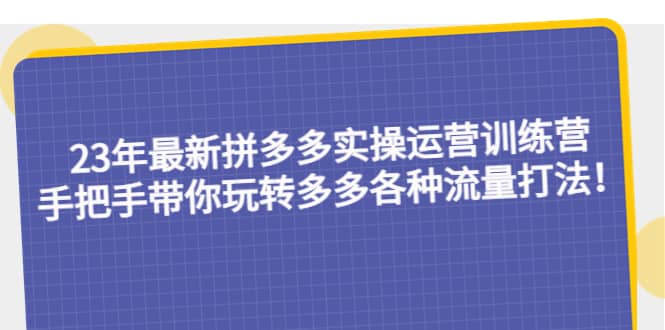23年最新拼多多实操运营训练营：手把手带你玩转多多各种流量打法！-枫叶微课堂