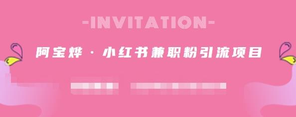 阿宝烨·小红书兼职粉引流项目，流量大，引流效果好【视频课程】-枫叶微课堂