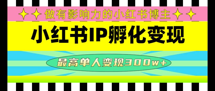 某收费培训-小红书IP孵化变现：做有影响力的小红书博主-枫叶微课堂