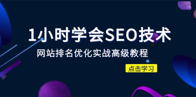 1小时学会SEO技术 网站排名优化实战高级教程-秒杀市面95%收费几千的SEO教程-枫叶微课堂