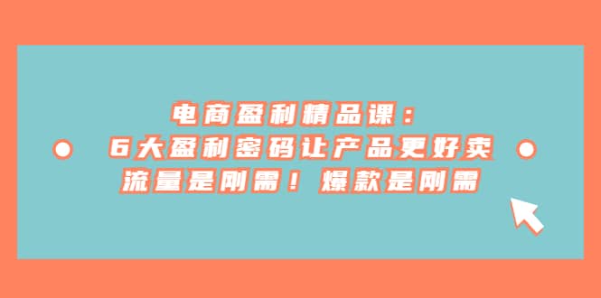 电商 盈利精品课：6大盈利 密码让产品更好卖，流量是刚需！爆款是刚需-枫叶微课堂