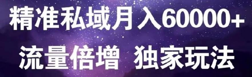 原力网赚精准私域月入60000+,流量倍增独家玩法-枫叶微课堂