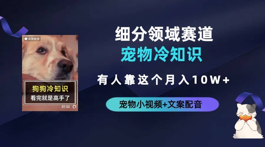 不起眼的抖音细分赛道-宠物冷知识，一段宠物视频配文案，有人靠这个月入10w-枫叶微课堂