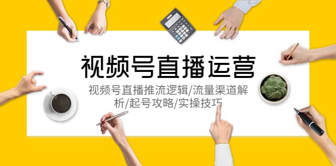 视频号直播运营，视频号直播推流逻辑/流量渠道解析/起号攻略/实操技巧-枫叶微课堂
