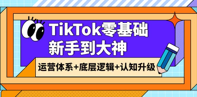 TikTok零基础新手到大神：运营体系+底层逻辑+认知升级（9节系列课）-枫叶微课堂