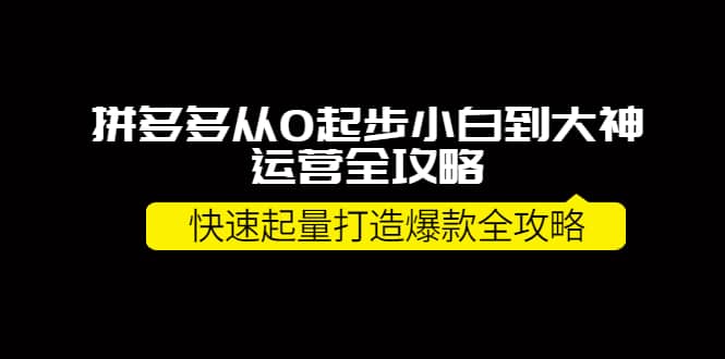 拼多多从0起步小白到大神运营全攻略-枫叶微课堂