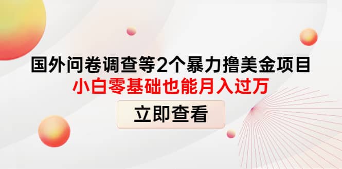 国外问卷调查等2个暴力撸美元项目，小白零基础也能月入过万-枫叶微课堂