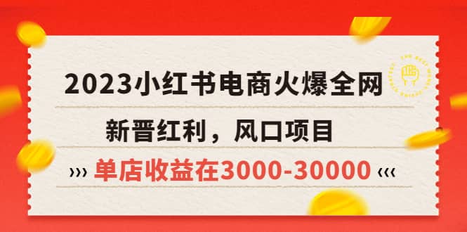 2023小红书电商火爆全网，新晋红利，风口项目，单店收益在3000-30000-枫叶微课堂