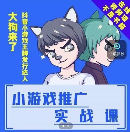 大狗来了：小游戏推广实战课，带你搭建一个游戏推广变现账号-枫叶微课堂