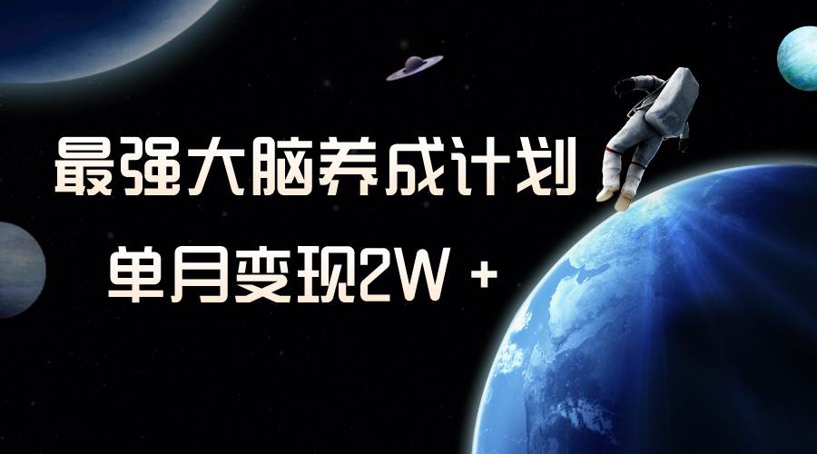 冷门虚拟项目，最强大脑养成计划，一个月变现2W＋-枫叶微课堂