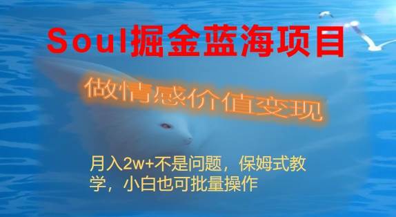 Soul掘金蓝海项目细分赛道，做情感价值变现，月入2w+不是问题-枫叶微课堂