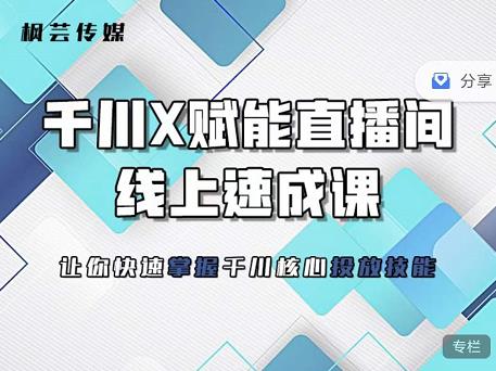 枫芸传媒-线上千川提升课，提升千川认知，提升千川投放效果-枫叶微课堂