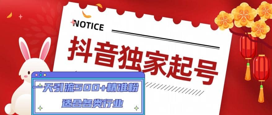 抖音独家起号，适合各类行业（9节视频课）-枫叶微课堂