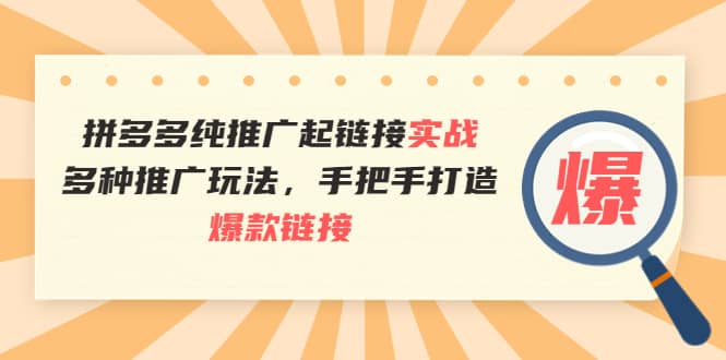 拼多多纯推广起链接实战：多种推广玩法，手把手打造爆款链接-枫叶微课堂