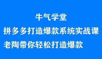 牛气学堂拼多多打造爆款系统实战课，老陶带你轻松打造爆款-枫叶微课堂