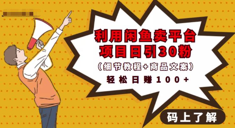 利用闲鱼卖平台项目课程资源日引流30+精准粉丝，轻松日赚100+，积累人脉可实现二次变现（细节教程+商品文案）-枫叶微课堂