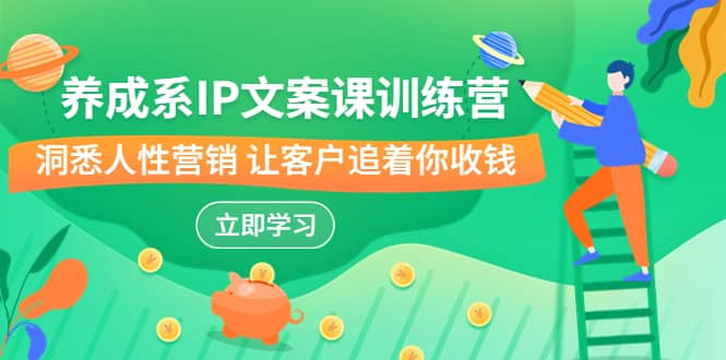 养成系-IP文案课训练营，文案心法的天花板 洞悉人性营销 让客户追着你收钱-枫叶微课堂