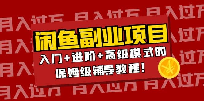 月入过万闲鱼副业项目：入门+进阶+高级模式的保姆级辅导教程-枫叶微课堂