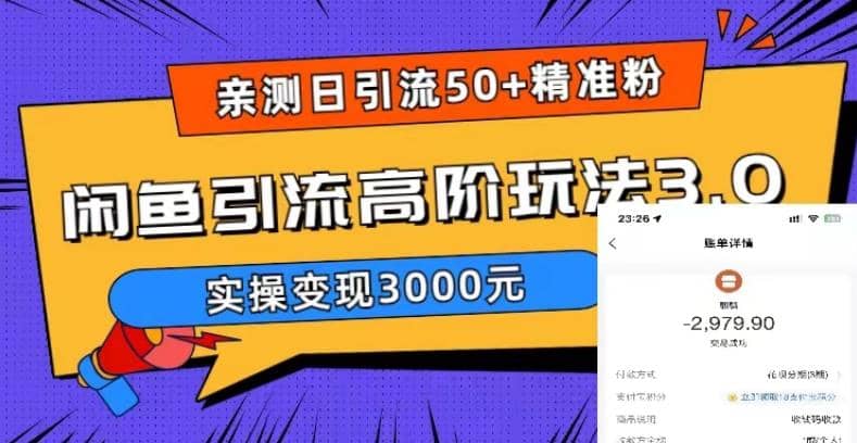 实测日引50+精准粉，闲鱼引流高阶玩法3.0，实操变现3000元-枫叶微课堂
