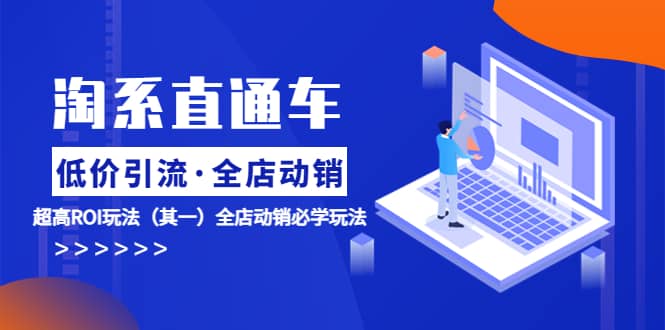 淘系直通车《低价·引流 全店·动销》超高ROI玩法（其一）全店动销必学玩法-枫叶微课堂