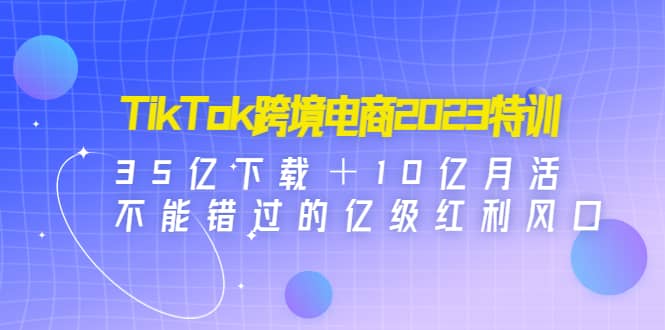 TikTok跨境电商2023特训：35亿下载＋10亿月活，不能错过的亿级红利风口-枫叶微课堂