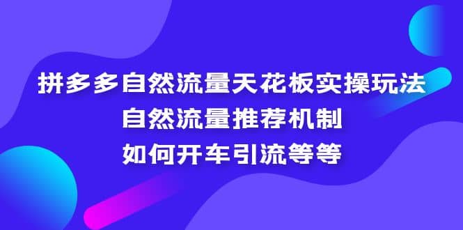 拼多多自然流量天花板实操玩法：自然流量推荐机制，如何开车引流等等-枫叶微课堂