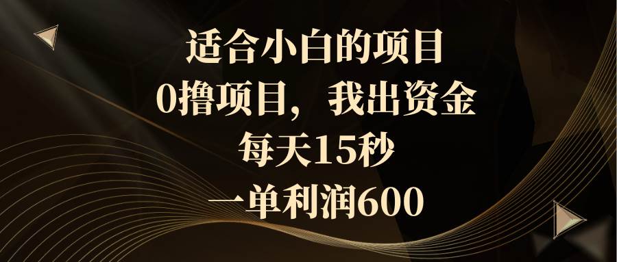 适合小白的项目，0撸项目，我出资金，每天15秒，一单利润600-枫叶微课堂