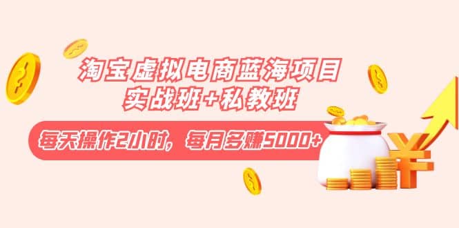 淘宝虚拟电商蓝海项目实战班+私教班-枫叶微课堂
