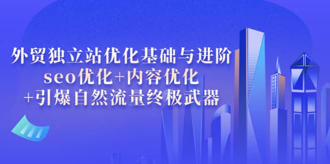 外贸独立站优化基础与进阶，seo优化+内容优化+引爆自然流量终极武器-枫叶微课堂