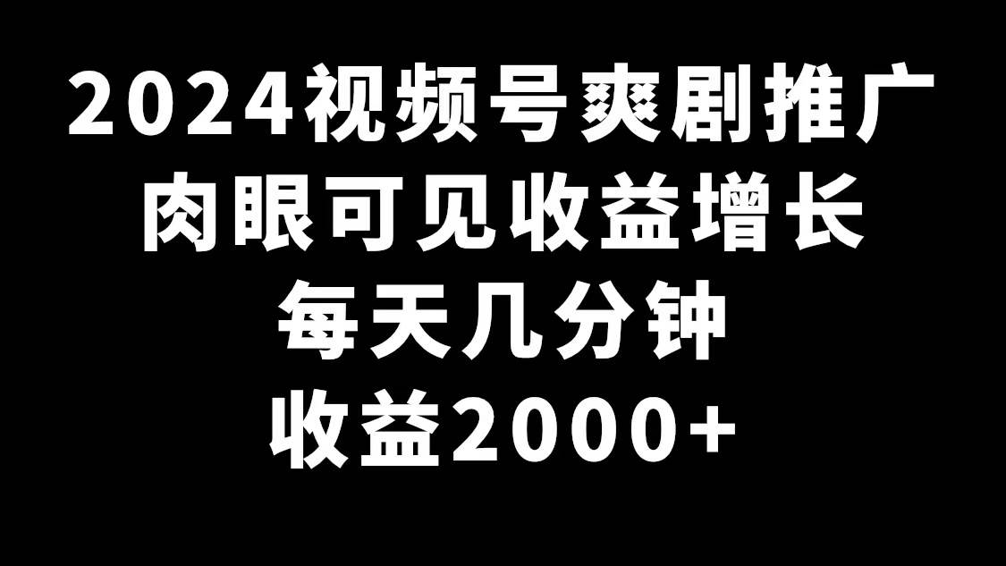 2024视频号爽剧推广，肉眼可见的收益增长，每天几分钟收益2000+-枫叶微课堂