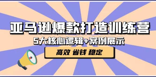 亚马逊爆款打造训练营：5大核心逻辑+案例展示 打造爆款链接 高效 省钱 稳定-枫叶微课堂