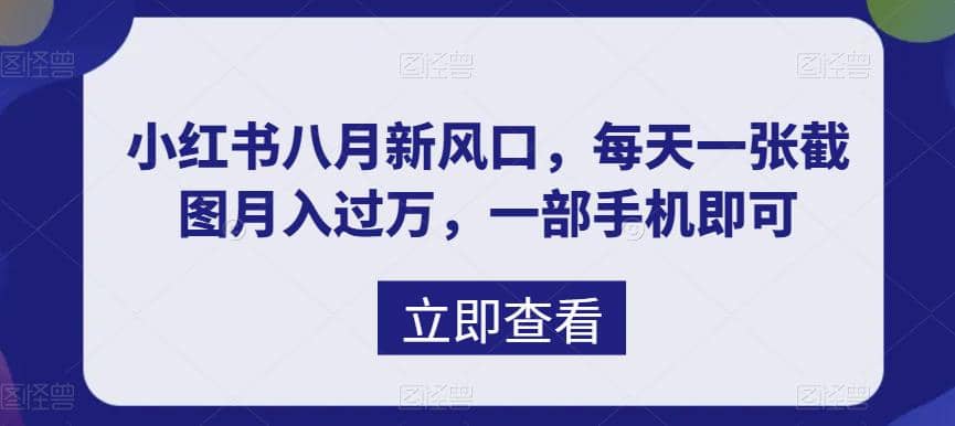 八月新风口，小红书虚拟项目一天收入1000+，实战揭秘-枫叶微课堂