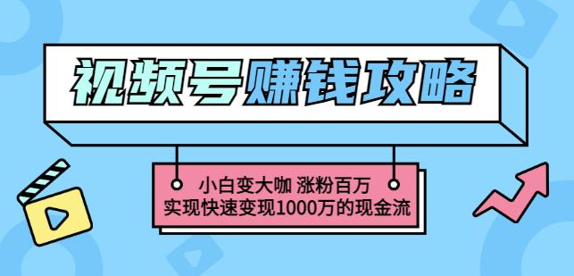 玩转微信视频号赚钱：小白变大咖涨粉百万实现快速变现1000万的现金流-枫叶微课堂