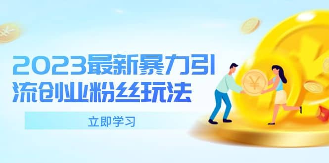 2023最新暴力引流创业粉丝玩法，单日被动引流50+创业粉-枫叶微课堂