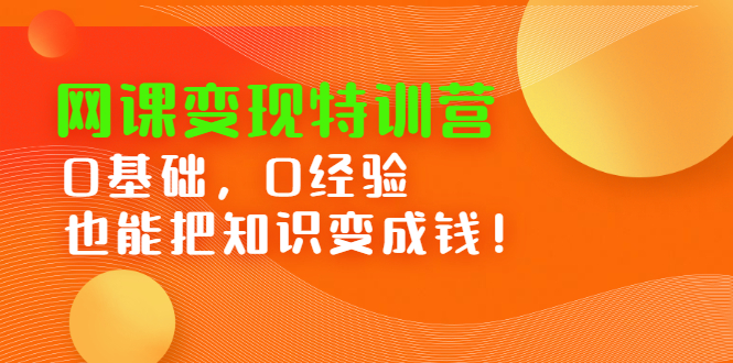 网课变现特训营，0基础，0经验也能把知识变成钱-枫叶微课堂